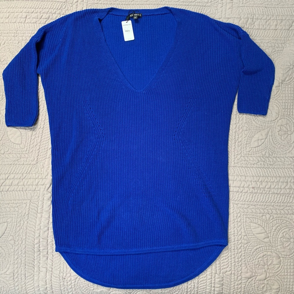 Express v-neck sweater